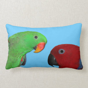 männlich-weibliches eclectus Papageien-Wurfskissen Lendenkissen