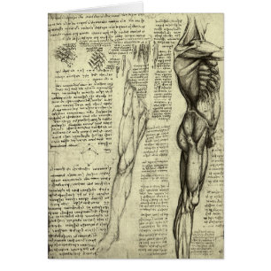 Männliche Anatomie Muskeln von Leonardo da Vinci