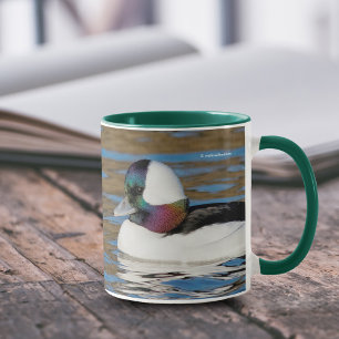 Männliche Bufflehead Duck in der Nachmittagssonne Tasse