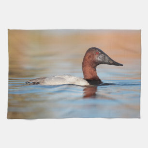 Männliche Canvasback-Ente Geschirrtuch