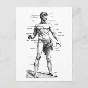 Männliche Front Postkarte