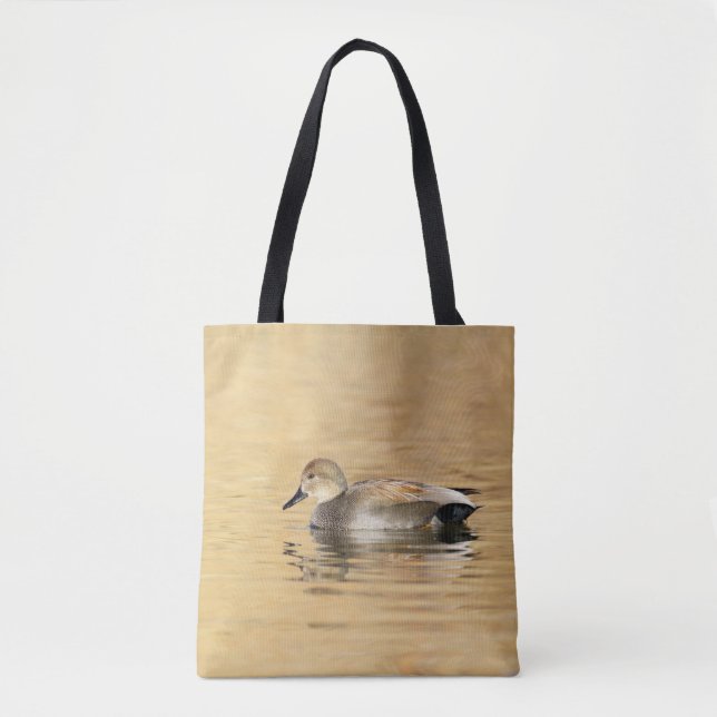 Männliche Gadwall-Ente (Vorderseite)