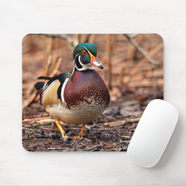 Männliche Holzente im Wald Mousepad (Mit Mouse)