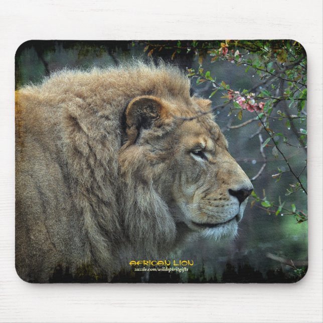 Männliche Löwe Big Cat Wildlife-Liebhaber Foto Mou Mousepad (Vorne)