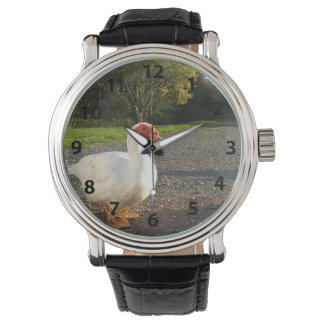 Männliche Muscovy Duck Watch Armbanduhr
