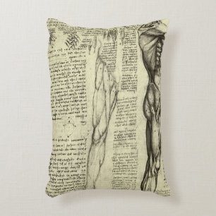 Männliche Muskeln der menschlichen Anatomie von Le Dekokissen