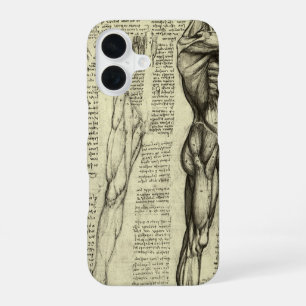 Männliche Muskeln der menschlichen Anatomie von Le iPhone 16 Hülle