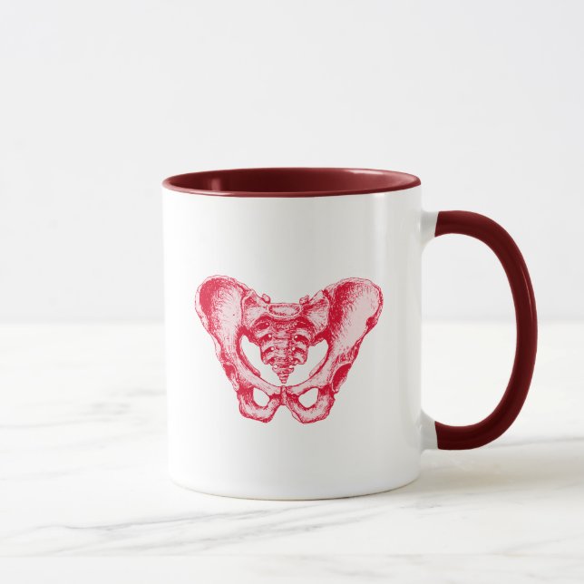 Männliche Pelvis Tasse (Rechts)