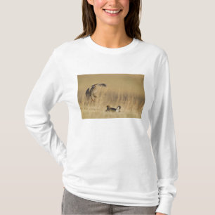 Männliche Präriehühner beim Lek in Loup County T-Shirt