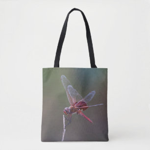 Männliche Red Saddlebags Dragonfly
