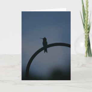 Männliche Ruby Throat Hummingbird Card Karte