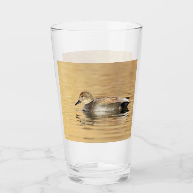 Männliche Schnatterente Glas (Vorderseite)