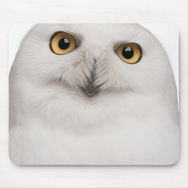 Männliche Schneekugel (Bubo scandiacus) ist eine g Mousepad (Vorne)