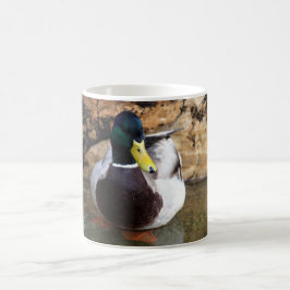 Männliche Stockenten-Ente Kaffeetasse