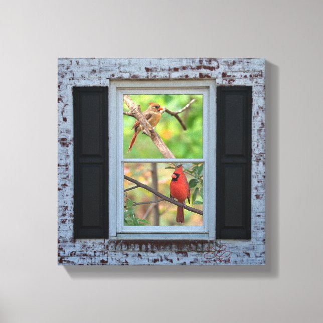 Männliche und weibliche Kardinäle in Fensterbänken Leinwanddruck (Vorderseite)