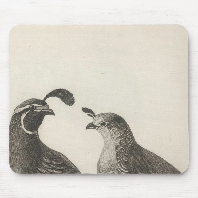 Männliche und weibliche Partridge von Kalifornien Mousepad (Vorne)