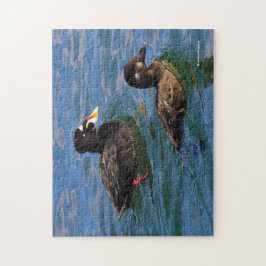 Männliche und weibliche Surf Scoter Enten am Pier Puzzle