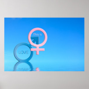 Männliche und weibliche Symbole Poster