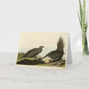 (Männliche Vögel) der Ebenen Audubon Vögel von Ame Karte