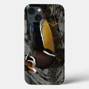 Männliche Waldscherente in Crystal Springs Rhodode Case-Mate iPhone Hülle