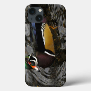 Männliche Waldschnatterente in Crystal Springs Rho Case-Mate iPhone Hülle