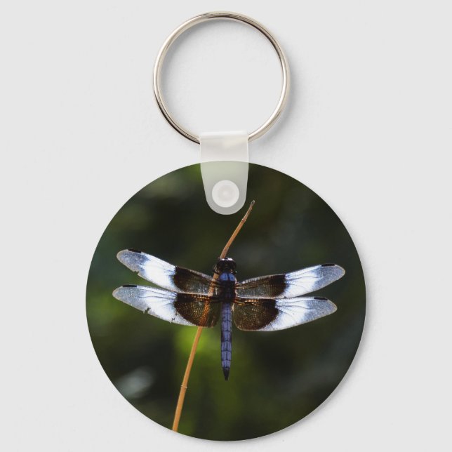 Männliche Witwe Skimmer Dragonfly Schlüsselanhänger (Vorderseite)