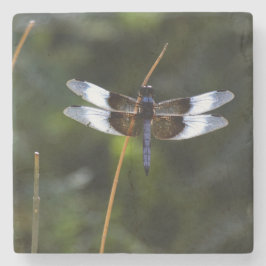 Männliche Witwe Skimmer Dragonfly Steinuntersetzer