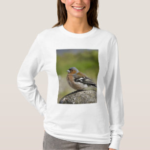 Männlicher Buchfink (WILD: Fringilla coelebs) T-Shirt