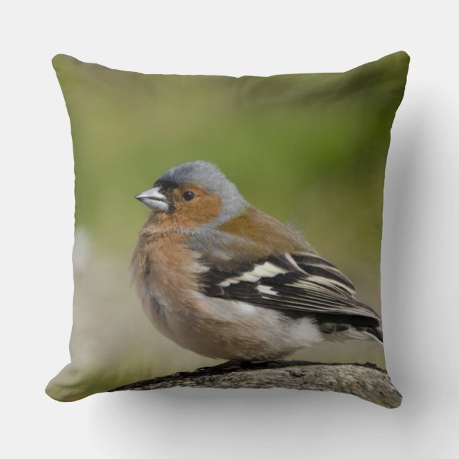 Männlicher Chaffinch (WILD: Fringilla coelebs) Kissen (Vorderseite)