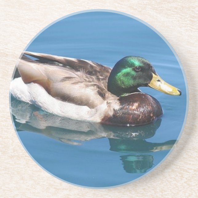 Männlicher Duck Untersetzer (Vorne)