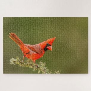Männlicher Kardinal auf Ast Puzzle