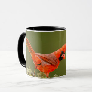 Männlicher Kardinal auf Ast Tasse