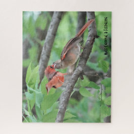 Männlicher Kardinal & Fledgling, Vogelliebhaber Puzzle