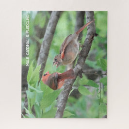 Männlicher Kardinal & Fledgling, Vogelliebhaber Puzzle