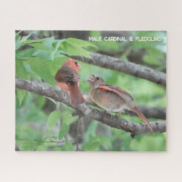 Männlicher Kardinal & Fledgling, Vogelliebhaber Puzzle