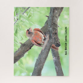 Männlicher Kardinal Fledgling, Vogelliebhaber Puzzle