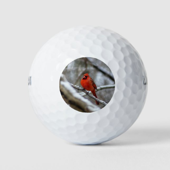 Männlicher Kardinal Golfball (Vorderseite)