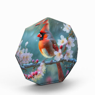 Männlicher Kardinal im Mondlicht Kirschblüten Fotoblock