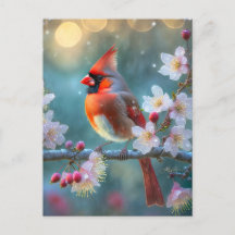 Männlicher Kardinal im Mondlicht Kirschblüten