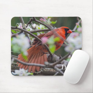 Männlicher Kardinal im Springtime Mousepad