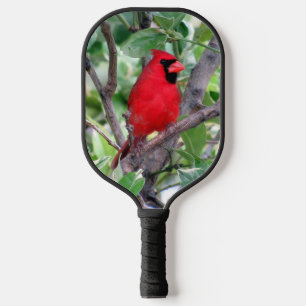Männlicher Kardinal im Zitronenbaum Pickleball Pad Schläger