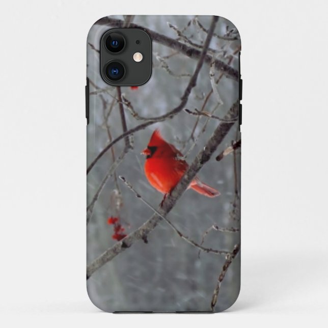 Männlicher Kardinal iPhone 5 Fall Case-Mate iPhone Hülle (Rückseite)