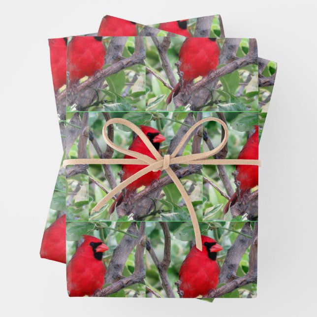 Männlicher Kardinal - kleines Bild - Papierfolien Geschenkpapier Set (Beispiel)