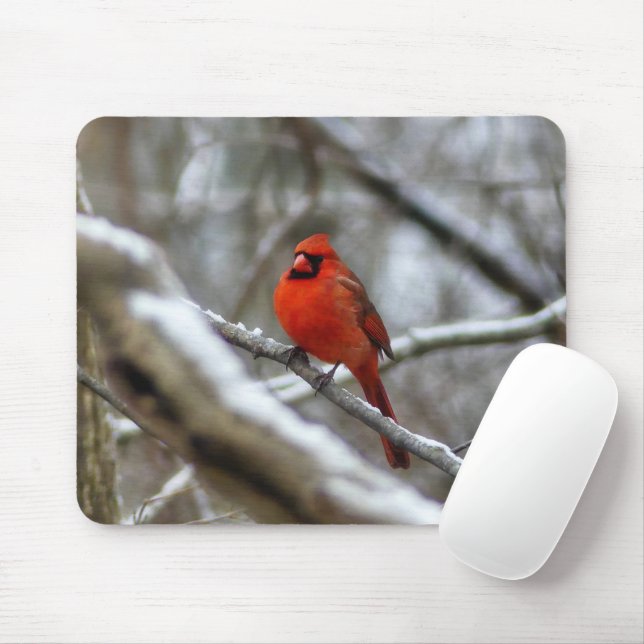 Männlicher Kardinal Mousepad (Mit Mouse)