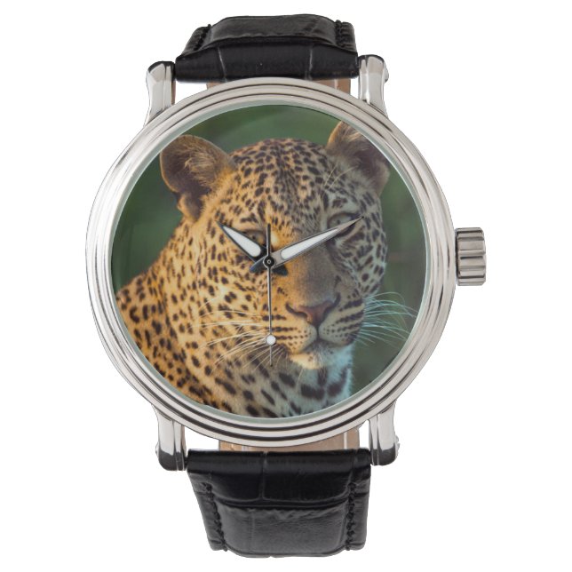 Männlicher Leopard (Panthera Pardus) Grobgrieß Armbanduhr (Vorderseite)