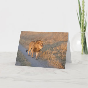 MÄNNLICHER LÖWE AUF DER SUCHT KARTE