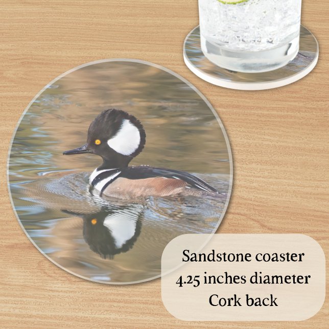 Männlicher Merganser Baden auf dem Bach Getränkeuntersetzer (A great gift for bird lovers, this sandstone coaster features a hooded merganser duck on the water.)