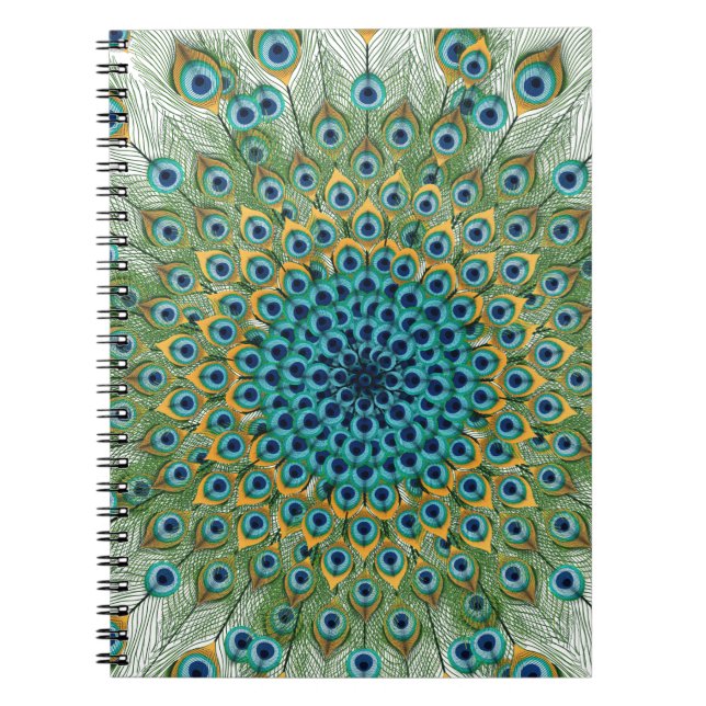 Männlicher Pfau-bunte Mandala Notizblock (Vorderseite)