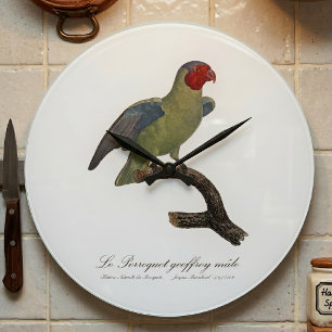 Männlicher Rotwangenpapagei, Geoffroyus geoffroyi Große Wanduhr