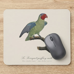 Männlicher Rotwangenpapagei, Geoffroyus geoffroyi Mousepad
